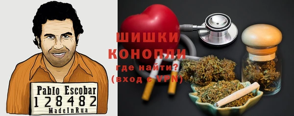 гидра Арсеньев