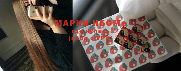 гашик Аркадак