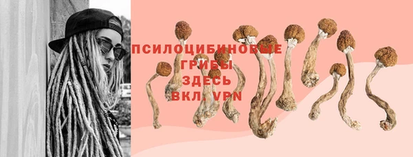 гашик Аркадак