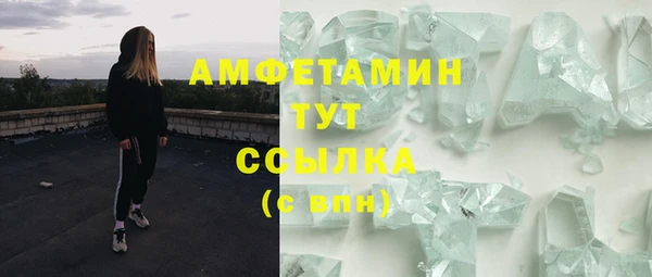 гашик Аркадак