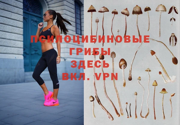 MDMA Premium VHQ Армянск