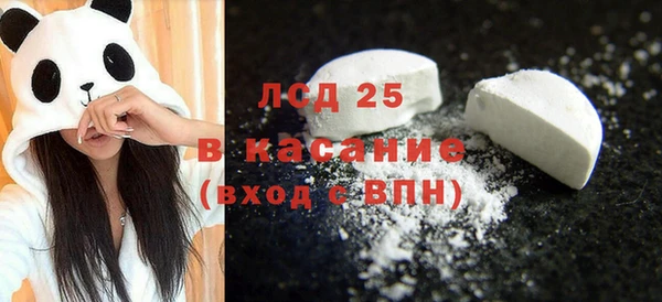 гашик Аркадак