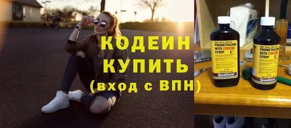 гидра Арсеньев